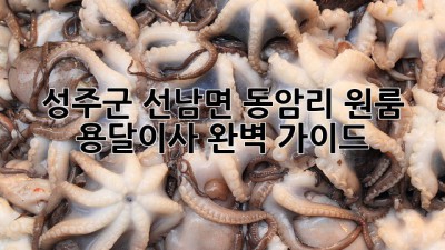 성주군 선남면 동암리 원룸 용달이사 완벽 가이드