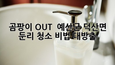 곰팡이 OUT! ✨ 예산군 덕산면 둔리 청소 비법 대방출! 🏡