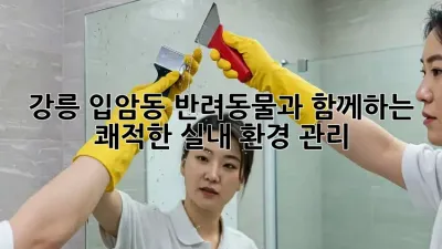 강릉 입암동 반려동물과 함께하는 쾌적한 실내 환경 관리